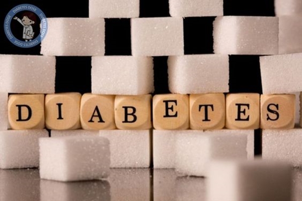 What is Diabetes mellitus, Causes, Symptoms, Treatment, Prevention