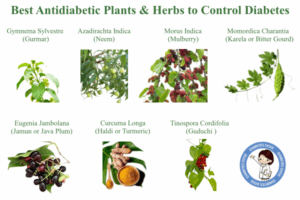 Substitute Ingredients for Keto Gummy Bears