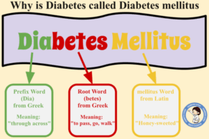 Diabetes mellitus Word Origin, Name, Meaning, Breakdown, Derived from